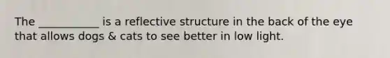 The ___________ is a reflective structure in the back of the eye that allows dogs & cats to see better in low light.