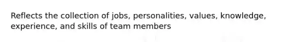 Reflects the collection of jobs, personalities, values, knowledge, experience, and skills of team members