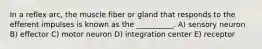 In a reflex arc, the muscle fiber or gland that responds to the efferent impulses is known as the __________. A) sensory neuron B) effector C) motor neuron D) integration center E) receptor