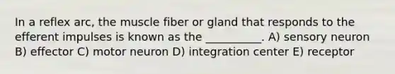 In a reflex arc, the muscle fiber or gland that responds to the efferent impulses is known as the __________. A) sensory neuron B) effector C) motor neuron D) integration center E) receptor