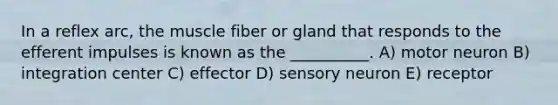 In a reflex arc, the muscle fiber or gland that responds to the efferent impulses is known as the __________. A) motor neuron B) integration center C) effector D) sensory neuron E) receptor