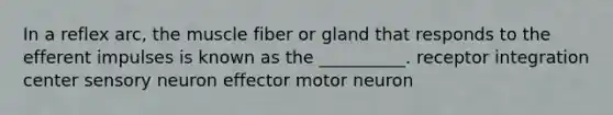 In a reflex arc, the muscle fiber or gland that responds to the efferent impulses is known as the __________. receptor integration center sensory neuron effector motor neuron