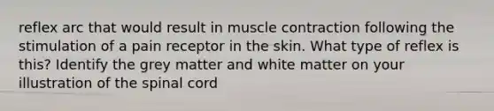 reflex arc that would result in muscle contraction following the stimulation of a pain receptor in the skin. What type of reflex is this? Identify the grey matter and white matter on your illustration of the spinal cord