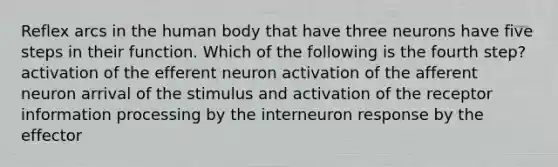 Reflex arcs in the human body that have three neurons have five steps in their function. Which of the following is the fourth step? activation of the efferent neuron activation of the afferent neuron arrival of the stimulus and activation of the receptor information processing by the interneuron response by the effector