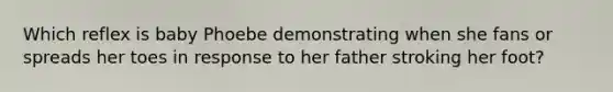 Which reflex is baby Phoebe demonstrating when she fans or spreads her toes in response to her father stroking her foot?
