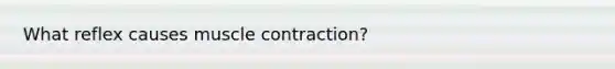 What reflex causes muscle contraction?