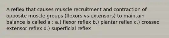 A reflex that causes muscle recruitment and contraction of opposite muscle groups (flexors vs extensors) to maintain balance is called a : a.) flexor reflex b.) plantar reflex c.) crossed extensor reflex d.) superficial reflex