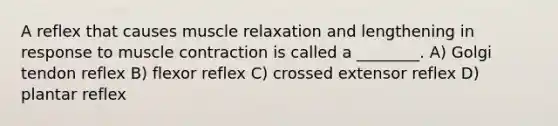 A reflex that causes muscle relaxation and lengthening in response to muscle contraction is called a ________. A) Golgi tendon reflex B) flexor reflex C) crossed extensor reflex D) plantar reflex