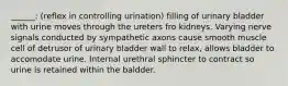 ______: (reflex in controlling urination) filling of urinary bladder with urine moves through the ureters fro kidneys. Varying nerve signals conducted by sympathetic axons cause smooth muscle cell of detrusor of urinary bladder wall to relax, allows bladder to accomodate urine. Internal urethral sphincter to contract so urine is retained within the baldder.