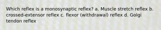 Which reflex is a monosynaptic reflex? a. Muscle stretch reflex b. crossed-extensor reflex c. flexor (withdrawal) reflex d. Golgi tendon reflex