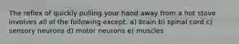 The reflex of quickly pulling your hand away from a hot stove involves all of the following except: a) brain b) spinal cord c) sensory neurons d) motor neurons e) muscles