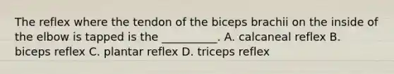 The reflex where the tendon of the biceps brachii on the inside of the elbow is tapped is the __________. A. calcaneal reflex B. biceps reflex C. plantar reflex D. triceps reflex