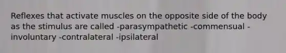 Reflexes that activate muscles on the opposite side of the body as the stimulus are called -parasympathetic -commensual -involuntary -contralateral -ipsilateral