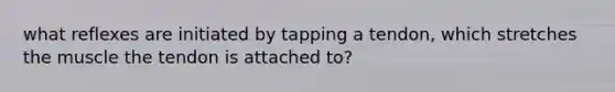 what reflexes are initiated by tapping a tendon, which stretches the muscle the tendon is attached to?