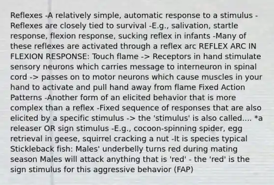 Reflexes -A relatively simple, automatic response to a stimulus -Reflexes are closely tied to survival -E.g., salivation, startle response, flexion response, sucking reflex in infants -Many of these reflexes are activated through a reflex arc REFLEX ARC IN FLEXION RESPONSE: Touch flame -> Receptors in hand stimulate sensory neurons which carries message to interneuron in spinal cord -> passes on to motor neurons which cause muscles in your hand to activate and pull hand away from flame Fixed Action Patterns -Another form of an elicited behavior that is more complex than a reflex -Fixed sequence of responses that are also elicited by a specific stimulus -> the 'stimulus' is also called.... *a releaser OR sign stimulus -E.g., cocoon-spinning spider, egg retrieval in geese, squirrel cracking a nut -It is species typical Stickleback fish: Males' underbelly turns red during mating season Males will attack anything that is 'red' - the 'red' is the sign stimulus for this aggressive behavior (FAP)