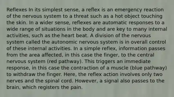 Reflexes In its simplest sense, a reflex is an emergency reaction of the nervous system to a threat such as a hot object touching the skin. In a wider sense, reflexes are automatic responses to a wide range of situations in the body and are key to many internal activities, such as the heart beat. A division of the nervous system called the autonomic nervous system is in overall control of these internal activities. In a simple reflex, information passes from the area affected, in this case the finger, to the central nervous system (red pathway). This triggers an immediate response, in this case the contraction of a muscle (blue pathway) to withdraw the finger. Here, the reflex action involves only two nerves and the spinal cord. However, a signal also passes to the brain, which registers the pain.