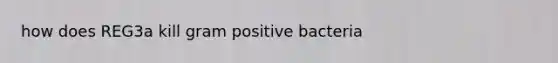 how does REG3a kill gram positive bacteria