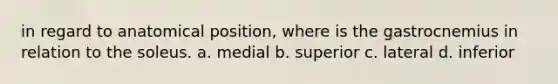 in regard to anatomical position, where is the gastrocnemius in relation to the soleus. a. medial b. superior c. lateral d. inferior