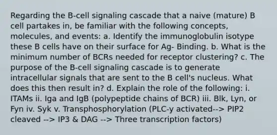 Regarding the B-cell signaling cascade that a naive (mature) B cell partakes in, be familiar with the following concepts, molecules, and events: a. Identify the immunoglobulin isotype these B cells have on their surface for Ag- Binding. b. What is the minimum number of BCRs needed for receptor clustering? c. The purpose of the B-cell signaling cascade is to generate intracellular signals that are sent to the B cell's nucleus. What does this then result in? d. Explain the role of the following: i. ITAMs ii. Iga and IgB (polypeptide chains of BCR) iii. Blk, Lyn, or Fyn iv. Syk v. Transphosphorylation (PLC-y activated--> PIP2 cleaved --> IP3 & DAG --> Three transcription factors)