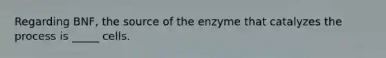 Regarding BNF, the source of the enzyme that catalyzes the process is _____ cells.