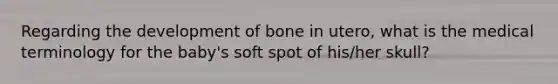 Regarding the development of bone in utero, what is the medical terminology for the baby's soft spot of his/her skull?