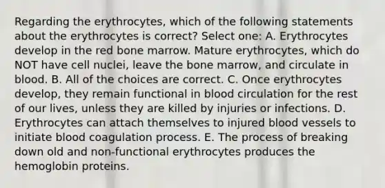 Regarding the erythrocytes, which of the following statements about the erythrocytes is correct? Select one: A. Erythrocytes develop in the red bone marrow. Mature erythrocytes, which do NOT have cell nuclei, leave the bone marrow, and circulate in blood. B. All of the choices are correct. C. Once erythrocytes develop, they remain functional in blood circulation for the rest of our lives, unless they are killed by injuries or infections. D. Erythrocytes can attach themselves to injured blood vessels to initiate blood coagulation process. E. The process of breaking down old and non-functional erythrocytes produces the hemoglobin proteins.