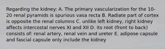 Regarding the kidney: A. The primary vascularization for the 10-20 renal pyramids is spurious vasa recta B. Radiate part of cortex is opposite the renal columns C. unlike left kidney, right kidney affects intercostal nerves XI and XII D. its root (front to back) consists of: renal artery, renal vein and ureter E. adipose capsule and fascial capsule only include the kidney