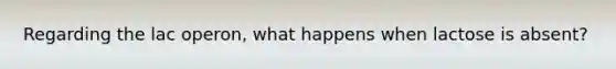 Regarding the lac operon, what happens when lactose is absent?
