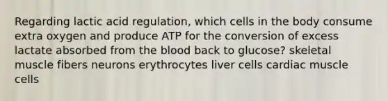 Regarding lactic acid regulation, which cells in the body consume extra oxygen and produce ATP for the conversion of excess lactate absorbed from the blood back to glucose? skeletal muscle fibers neurons erythrocytes liver cells cardiac muscle cells