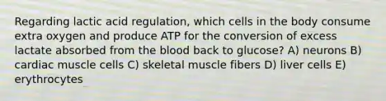 Regarding lactic acid regulation, which cells in the body consume extra oxygen and produce ATP for the conversion of excess lactate absorbed from the blood back to glucose? A) neurons B) cardiac muscle cells C) skeletal muscle fibers D) liver cells E) erythrocytes