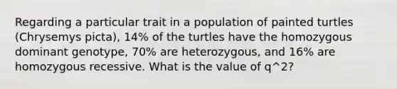 Regarding a particular trait in a population of painted turtles (Chrysemys picta), 14% of the turtles have the homozygous dominant genotype, 70% are heterozygous, and 16% are homozygous recessive. What is the value of q^2?