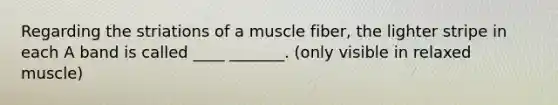 Regarding the striations of a muscle fiber, the lighter stripe in each A band is called ____ _______. (only visible in relaxed muscle)