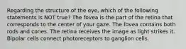 Regarding the structure of the eye, which of the following statements is NOT true? The fovea is the part of the retina that corresponds to the center of your gaze. The fovea contains both rods and cones. The retina receives the image as light strikes it. Bipolar cells connect photoreceptors to ganglion cells.