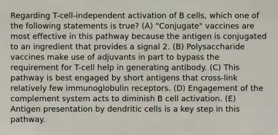 Regarding T-cell-independent activation of B cells, which one of the following statements is true? (A) "Conjugate" vaccines are most effective in this pathway because the antigen is conjugated to an ingredient that provides a signal 2. (B) Polysaccharide vaccines make use of adjuvants in part to bypass the requirement for T-cell help in generating antibody. (C) This pathway is best engaged by short antigens that cross-link relatively few immunoglobulin receptors. (D) Engagement of the complement system acts to diminish B cell activation. (E) Antigen presentation by dendritic cells is a key step in this pathway.