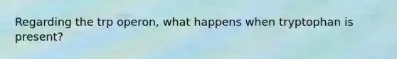 Regarding the trp operon, what happens when tryptophan is present?