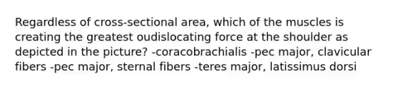 Regardless of cross-sectional area, which of the muscles is creating the greatest oudislocating force at the shoulder as depicted in the picture? -coracobrachialis -pec major, clavicular fibers -pec major, sternal fibers -teres major, latissimus dorsi