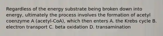 Regardless of the energy substrate being broken down into energy, ultimately the process involves the formation of acetyl coenzyme A (acetyl-CoA), which then enters A. the Krebs cycle B. electron transport C. beta oxidation D. transamination