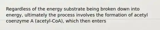 Regardless of the energy substrate being broken down into energy, ultimately the process involves the formation of acetyl coenzyme A (acetyl-CoA), which then enters