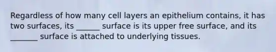 Regardless of how many cell layers an epithelium contains, it has two surfaces, its ______ surface is its upper free surface, and its _______ surface is attached to underlying tissues.