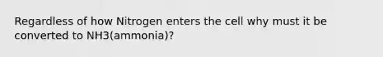 Regardless of how Nitrogen enters the cell why must it be converted to NH3(ammonia)?