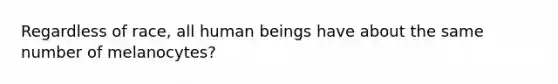 Regardless of race, all human beings have about the same number of melanocytes?