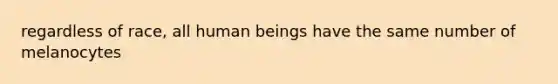 regardless of race, all human beings have the same number of melanocytes