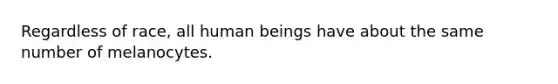 Regardless of race, all human beings have about the same number of melanocytes.