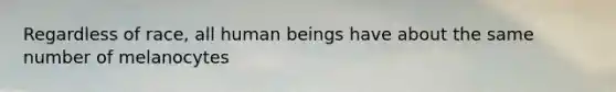 Regardless of race, all human beings have about the same number of melanocytes