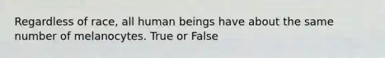 Regardless of race, all human beings have about the same number of melanocytes. True or False