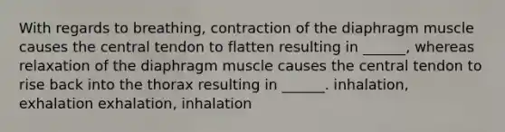 With regards to breathing, contraction of the diaphragm muscle causes the central tendon to flatten resulting in ______, whereas relaxation of the diaphragm muscle causes the central tendon to rise back into the thorax resulting in ______. inhalation, exhalation exhalation, inhalation