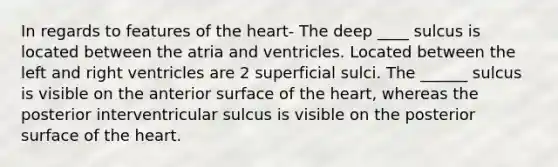 In regards to features of the heart- The deep ____ sulcus is located between the atria and ventricles. Located between the left and right ventricles are 2 superficial sulci. The ______ sulcus is visible on the anterior surface of the heart, whereas the posterior interventricular sulcus is visible on the posterior surface of the heart.