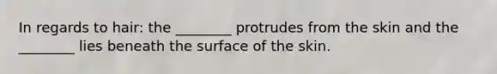 In regards to hair: the ________ protrudes from the skin and the ________ lies beneath the surface of the skin.