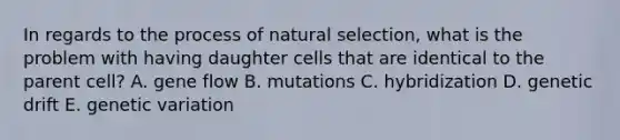 In regards to the process of natural selection, what is the problem with having daughter cells that are identical to the parent cell? A. gene flow B. mutations C. hybridization D. genetic drift E. genetic variation