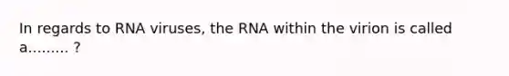 In regards to RNA viruses, the RNA within the virion is called a......... ?